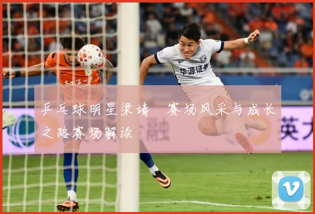 乒乓球明星梁靖崑赛场风采与成长之路赛场解读