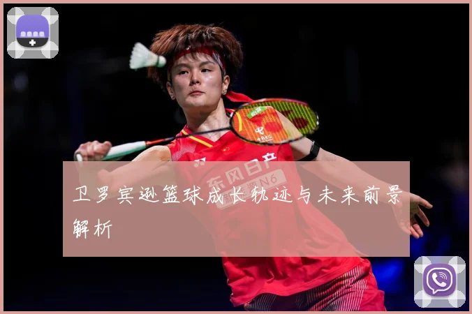 卫罗宾逊篮球成长轨迹与未来前景解析