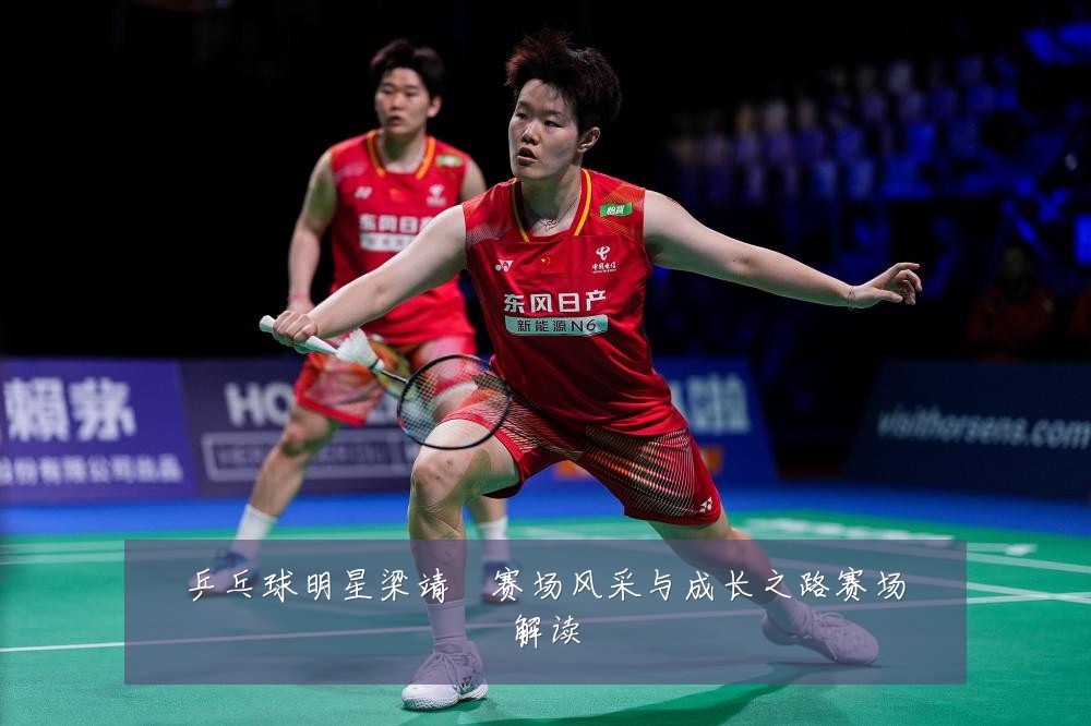 乒乓球明星梁靖崑赛场风采与成长之路赛场解读